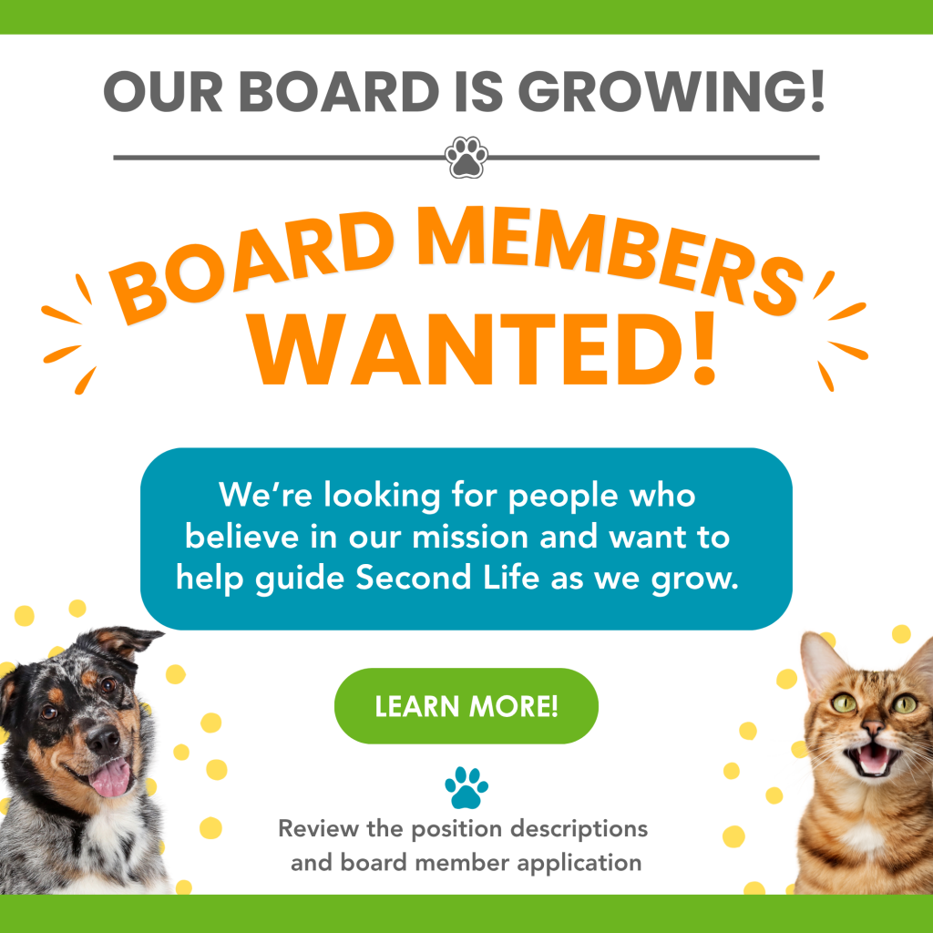 Join our Board!